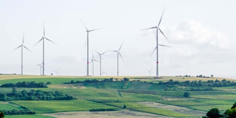 REDUCED FEES FOR THE GRADUATE CERTIFICATE IN ENVIRONMENTAL DESIGN.